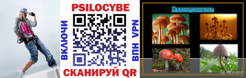 Псилоцибиновые грибы Psilocybine cubensis  Купить закладки  Воскресенск 